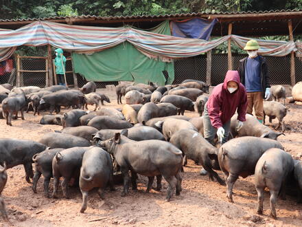 Kinh tế - Chính trị