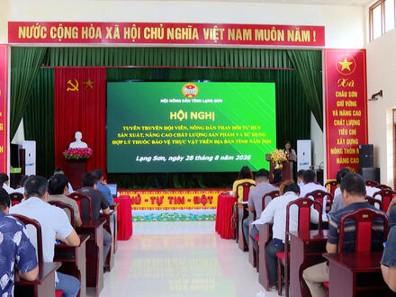 Kinh tế - Chính trị